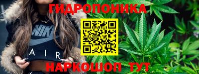 бошки Донецк