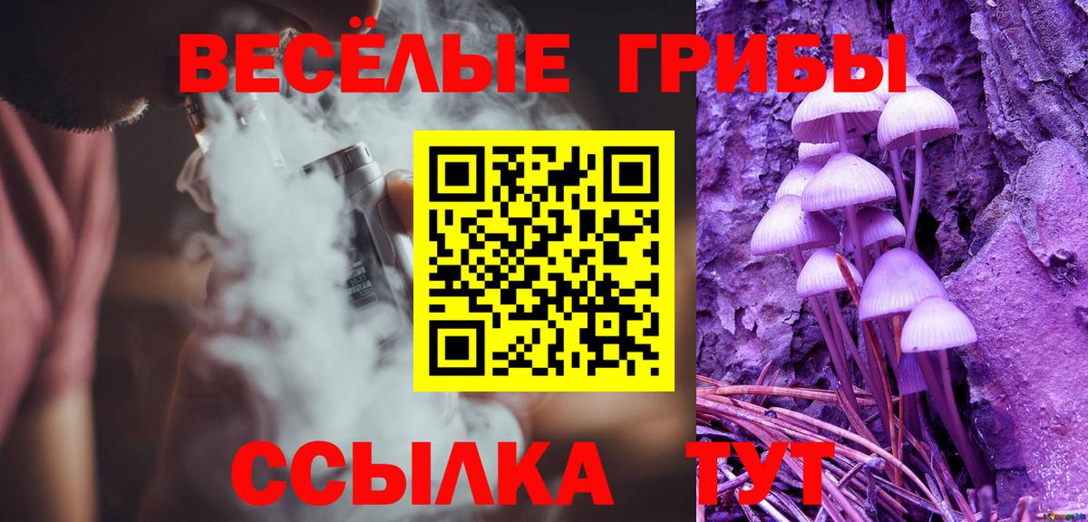 Галлюциногенные грибы мицелий  Вход с VPN  Димитровград 
